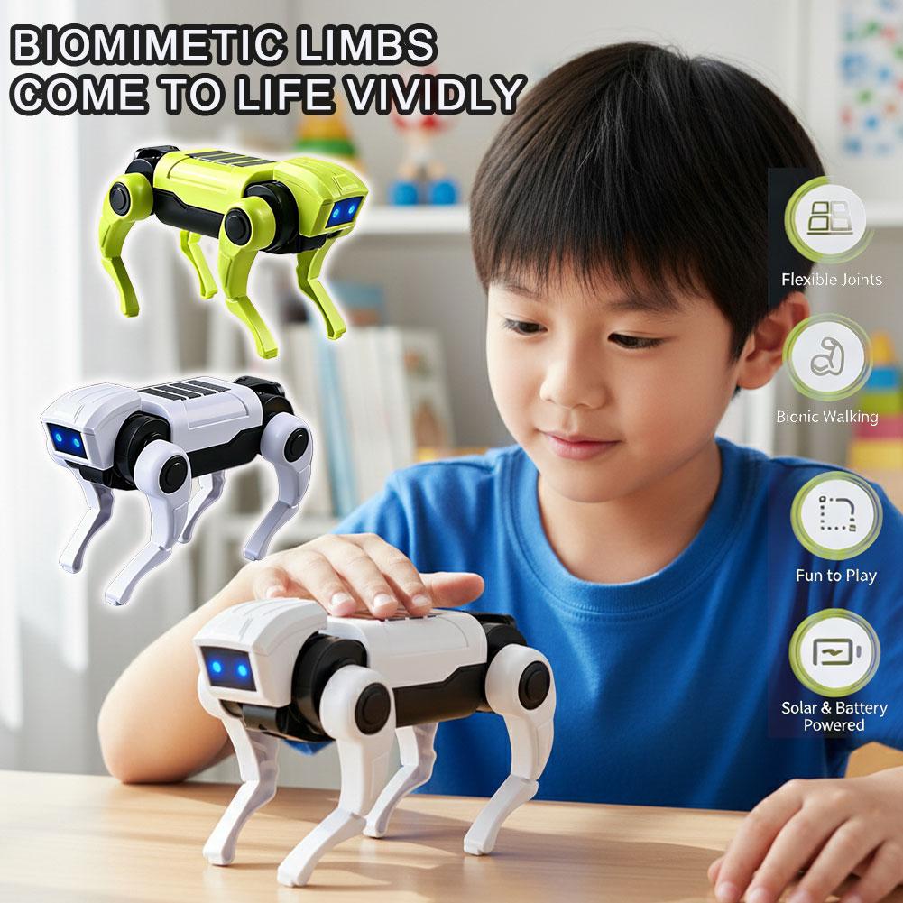 DIY Assembly RC Robot Dog Toy  - Diy Robot Electronics Kit 리뷰 및 가격