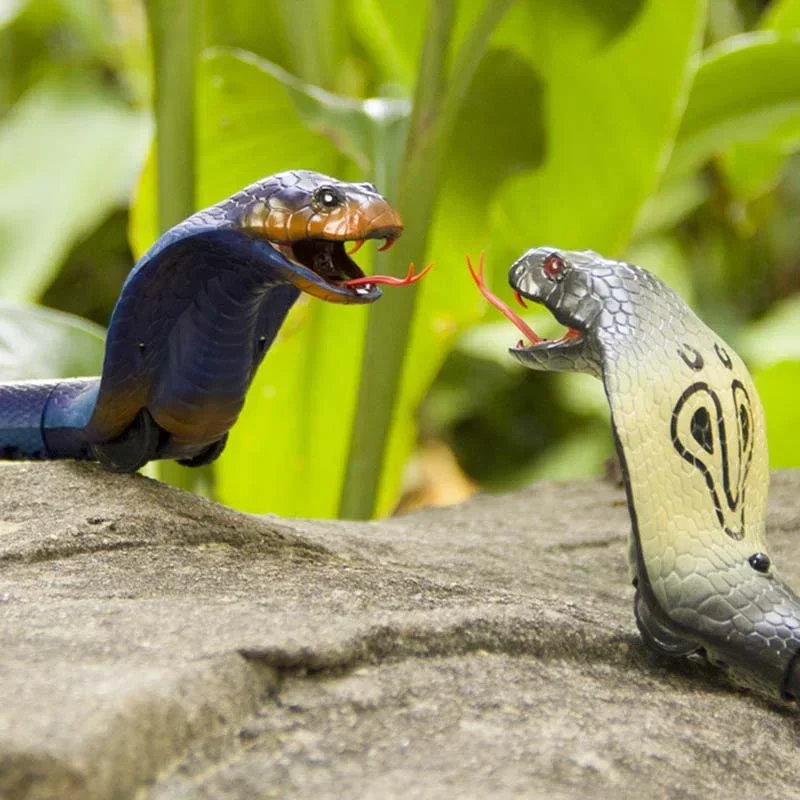 RC Snake Realistic Snake Toys  - Ir Infrared Receiver 리뷰 및 가격