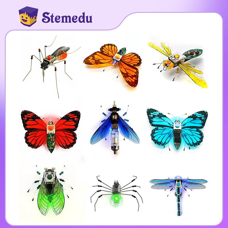 STEAM DIY Toys Robot Insect Sc - Diy Robot Electronics Kit 리뷰 및 가격